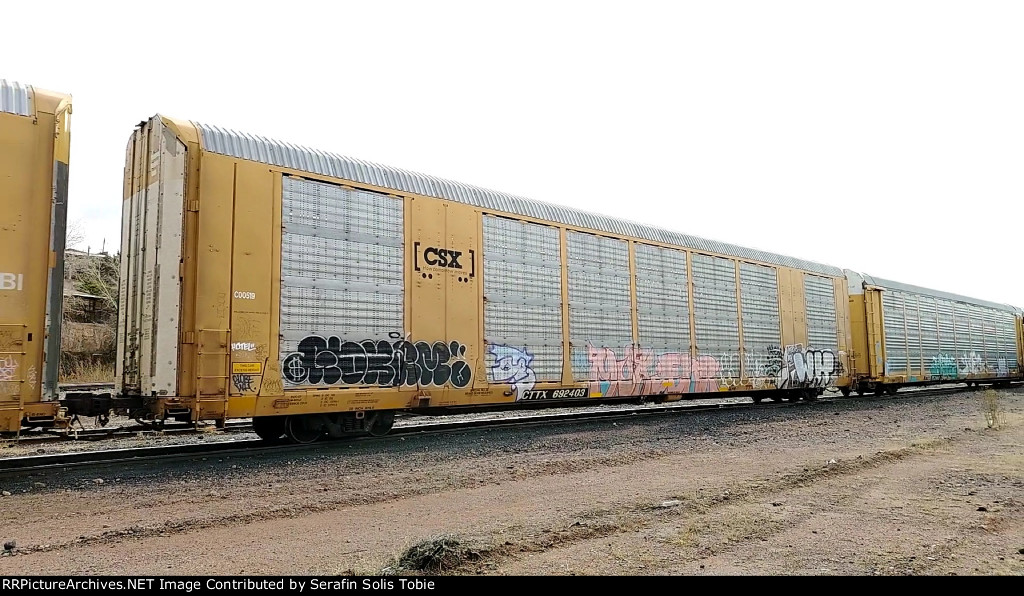 CSX C00519 CTTX 692403